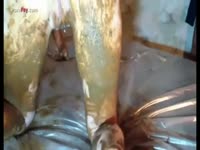 [ Scat Fetish XXX ] Hot lesbian covered in shit scat sex